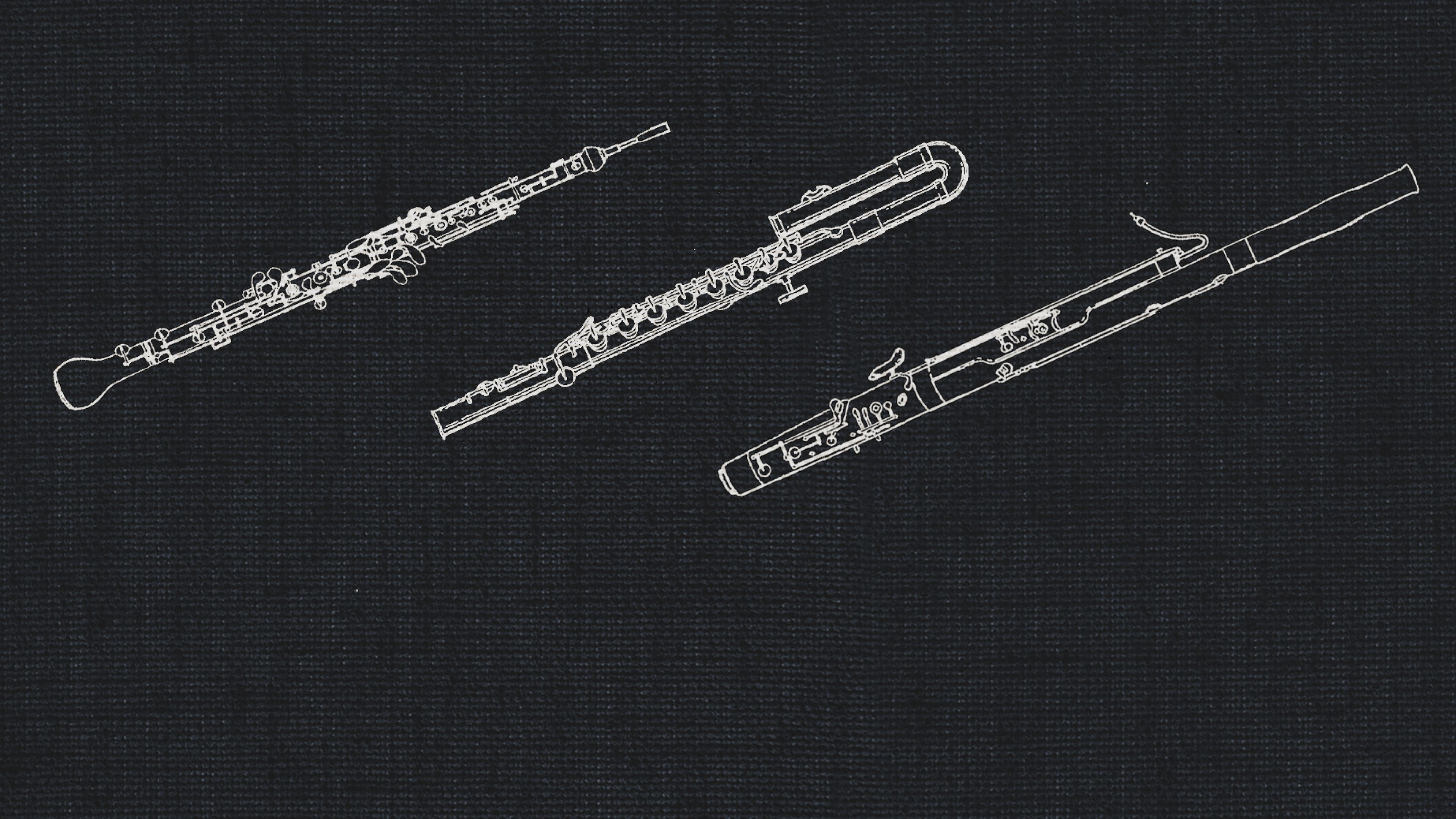 Studio Special Woodwinds - Vienna Symphonic Library
