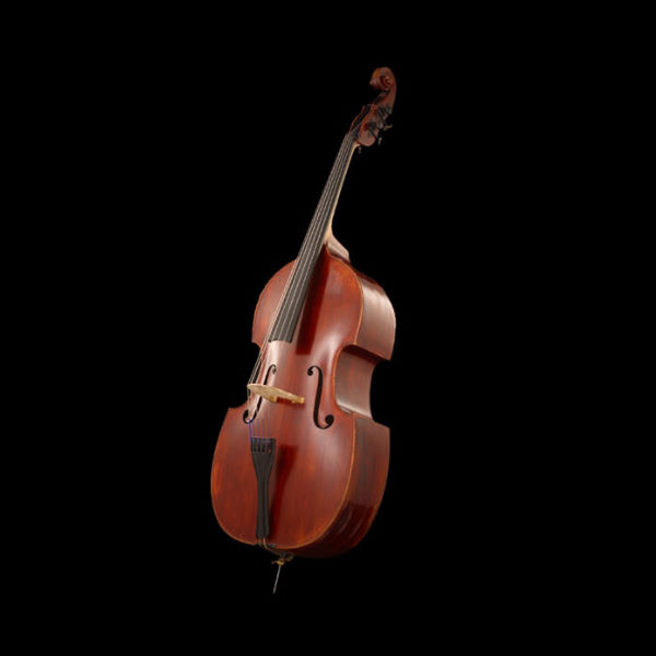A finely crafted wooden double bass, also known as a kontrabass or contrabbasso, standing upright against a stark black background, highlighting its rich brown finish and elegant curves.