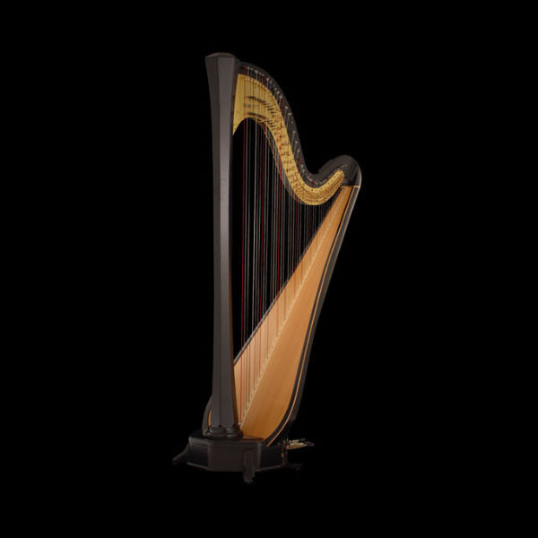 Elegant concert harp, a musical instrument with numerous strings and a rich wooden soundboard, reflecting its classification as a chordophone.
