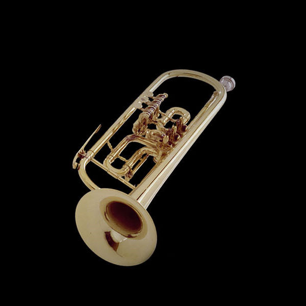 Golden brass trumpet or flugelhorn, a shining musical instrument with valves and a bell, against a black background