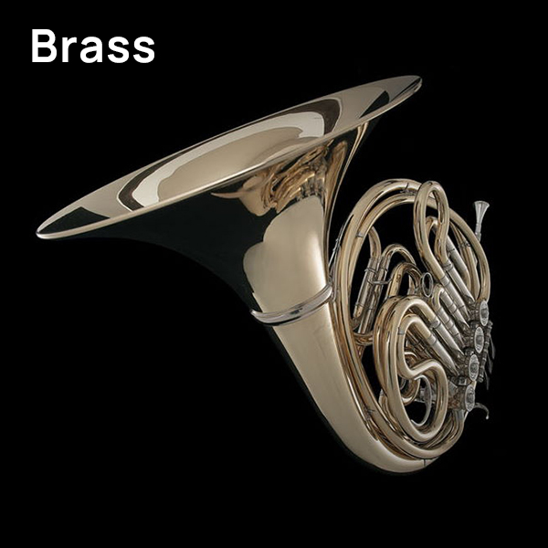 Full view of a shiny brass French horn with its bell, valves, and coiled tubing, set against a black background.