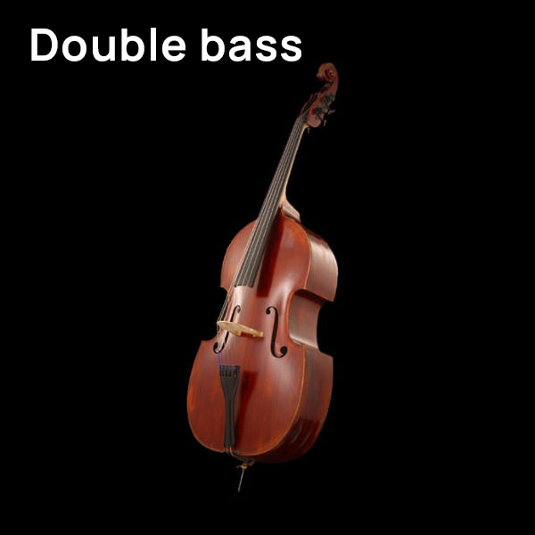 Full-body shot of a brown wooden double bass, a large string instrument, against a black background.
