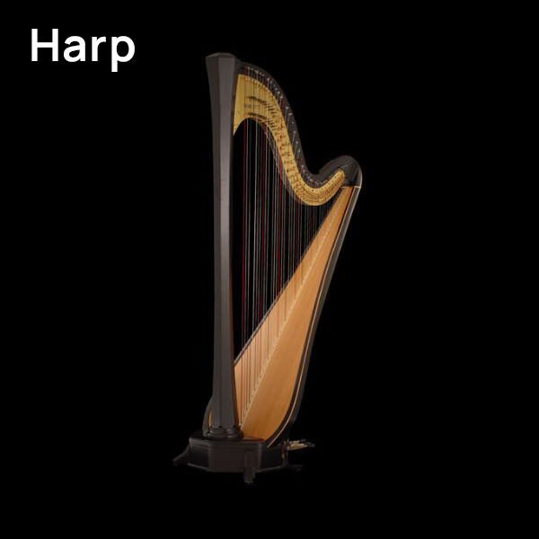 Elegant concert harp, a musical instrument with numerous strings and a rich wooden soundboard, reflecting its classification as a chordophone.