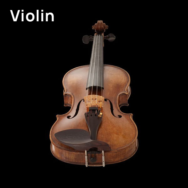 A close-up view of a classical wooden violin, also known as a violine or violon, with a dark background.