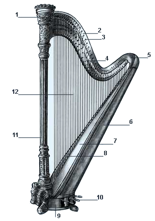 Detailed technical drawing of a harp with numbered parts for educational identification of the instrument's components
