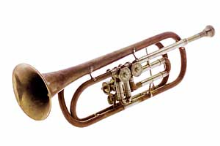 Brass C trumpet, a musical wind instrument aerophone, with a white background.